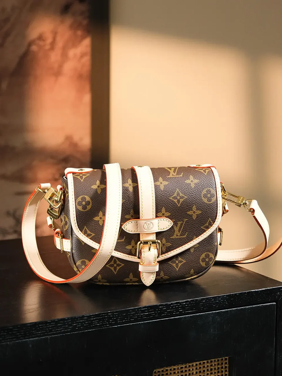 Louis Vuitton District PM M45254 monogram canvas crossbody bag brown leather trim gold hardware