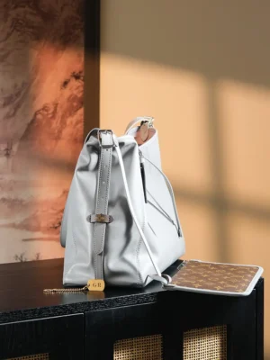 Louis Vuitton Noé BB bag small gray leather bucket bag with adjustable strap and monogram canvas pouch