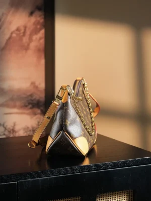 Louis Vuitton Multi Pochette Accessoires medium brown monogram canvas bag with leather trim and gold chain