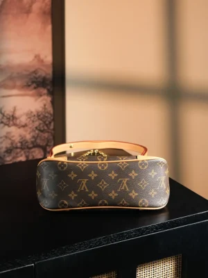 Louis Vuitton Favorite MM handbag medium brown monogram coated canvas leather trim