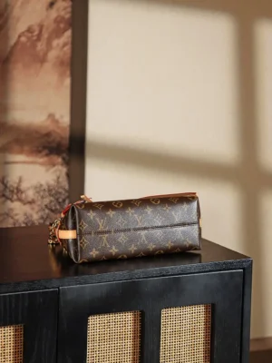 Louis Vuitton Pochette Accessoires small bag monogram canvas brown leather trim gold chain