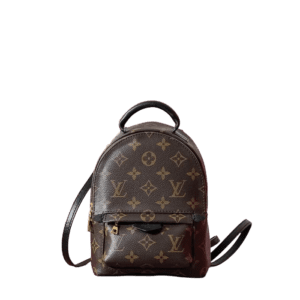 Palm Springs Mini backpack in Monogram canvas by Louis Vuitton, featuring a classic design with signature logo pattern, front zip pocket, and adjustable straps.