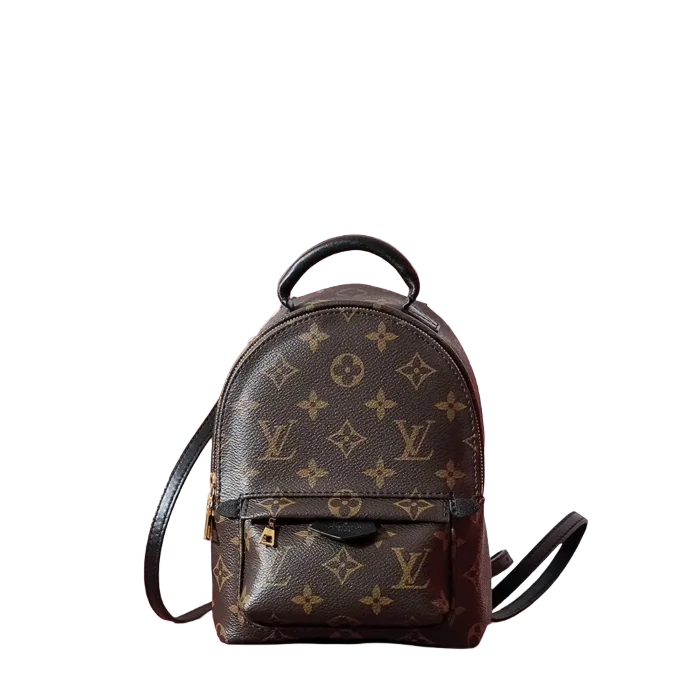 Louis Vuitton Palm Springs Mini backpack small monogram canvas brown leather trim