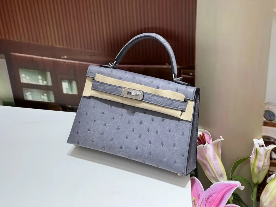 Hermès Kelly 25 gray ostrich leather handbag silver-tone hardware top handle