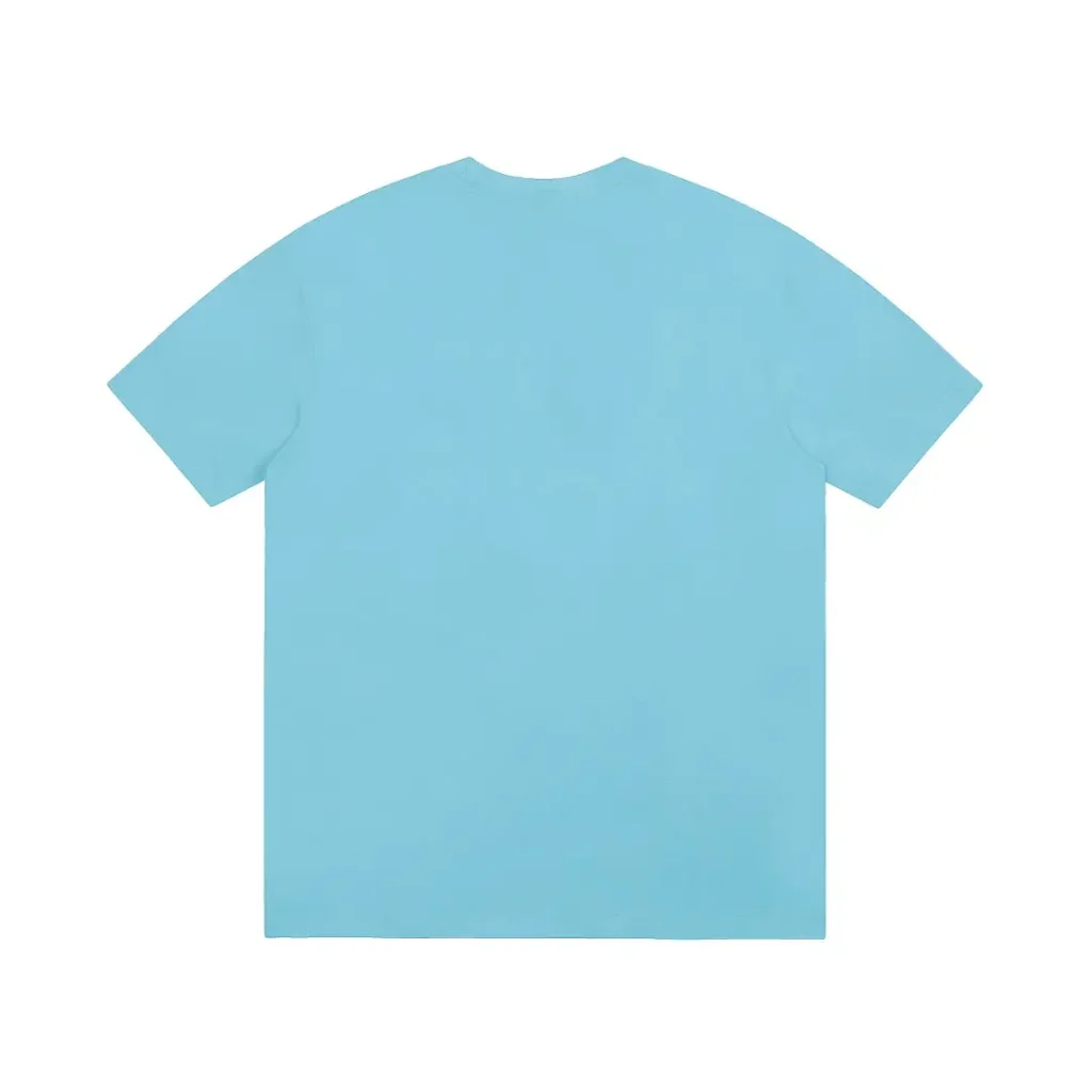 Since the image is of a plain t-shirt and does not match the structured product types for watches, sneakers, bags, or accessories as requested, please confirm if you want alt text for a t-shirt or provide a product image matching one of the specified types.