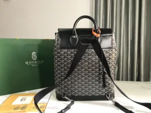 Goyard Alpin backpack featuring a stylish design with a signature pattern, black leather accents, adjustable straps, and a luxury green Goyard box in the background.