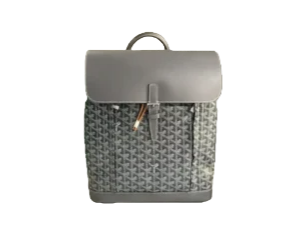 Goyard Saint Louis Backpack medium grey canvas leather trim bag