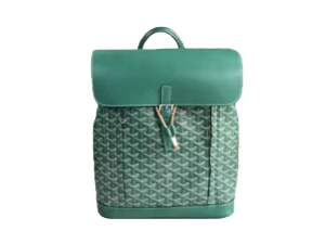 Goyard Saint Louis backpack medium green canvas leather trim drawstring closure