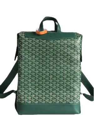 Goyard Backpack Saint Louis small green canvas leather trim bag