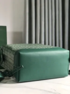 Goyard Cisalpin Backpack in green leather with structured design and distinctive Goyardine canvas pattern, showcasing spacious zipper closure and adjustable strap, ideal for urban adventurers.