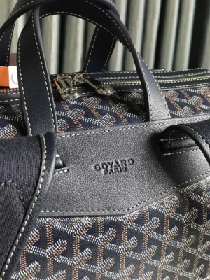 Goyard Cisalpin Backpack featuring signature Goyardine canvas and leather details, showcasing structured design and logo, ideal for urban adventurers.