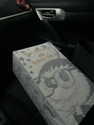 The Mansion Flip Wish Me! sneaker box featuring cartoon character design on textured paper packaging