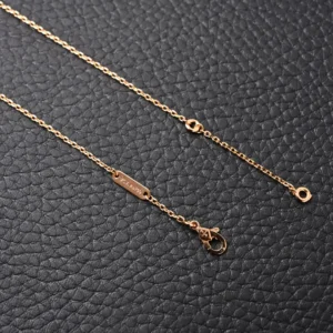 Tiffany & Co. necklace rose gold chain delicate link clasp jewelry accessory