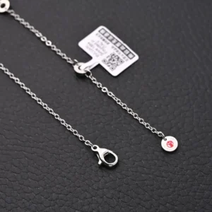 Tiffany & Co. sterling silver necklace lobster clasp delicate chain accessory silver metal