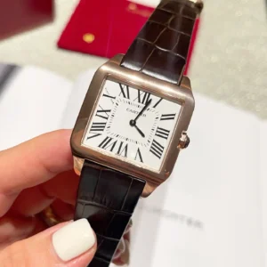 Cartier Santos Dumont 34mm Leather Strap Premium Edition